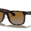Ray-Ban Justin Sunglasses - Polar Brown Gradient