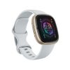 Fitbit Sense 2 Smartwatch - Pale Gold with Blue Mist Band