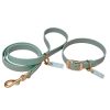 HOUND Collection Jellies - Waterproof Leash and Collar Set - Aloe - Size MEDIUM  
