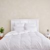 Cuddle Down Lakeside Summer Weight Cabin Duvet 100% GOTS Certified Organic Cotton Shell 650+ Loft 300TC 22Ounce Fill  – QUEEN