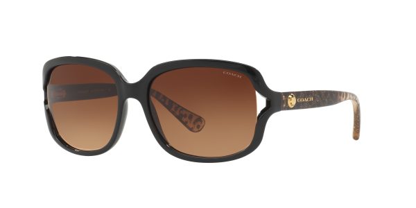 Coach - HC8169 Sunglasses - Brown Gradient