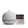 Saje Natural Wellness Room to Relax - Restorative Diffuser Blend Collection