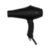Aria Professional Ionic Blow Dryer