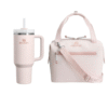 Stanley Quencher H2.0 FlowState 40oz Tumbler & All-Day Julienne Mini Cooler- Rose Quartz