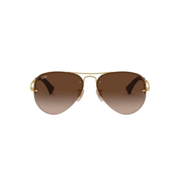 Ray Ban Aviator Sunglasses