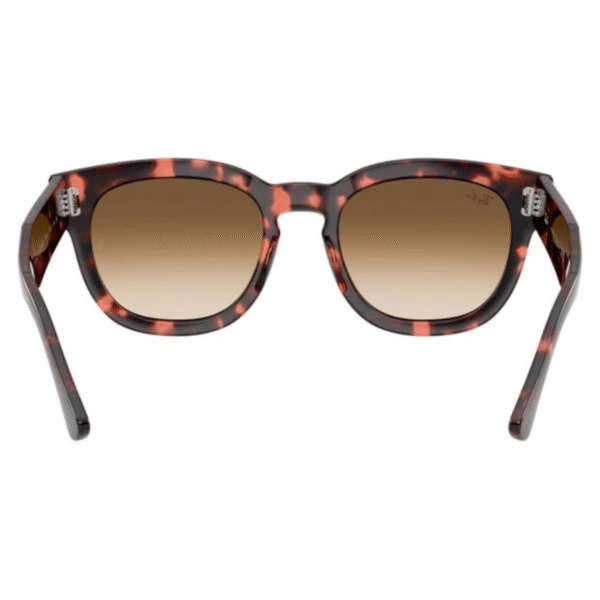 Ray Ban Mega Haweye Sunglasses - Image 4