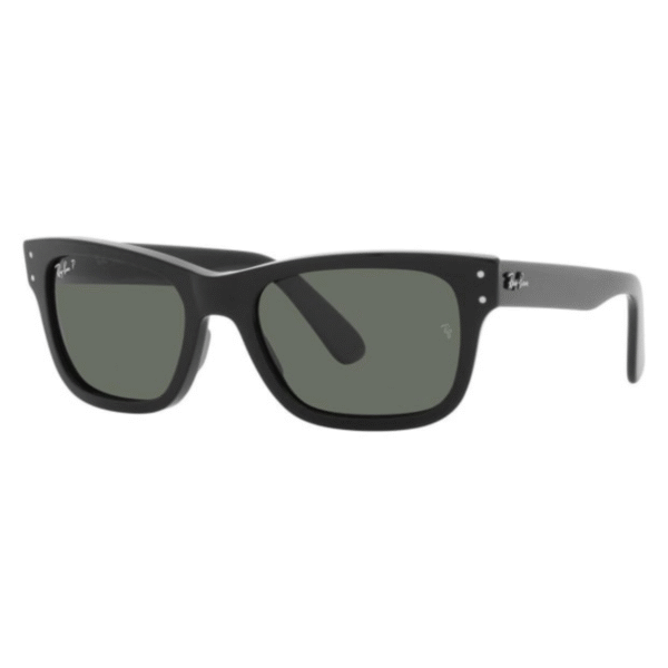 Ray Ban Burbank Sunglasses - Image 2