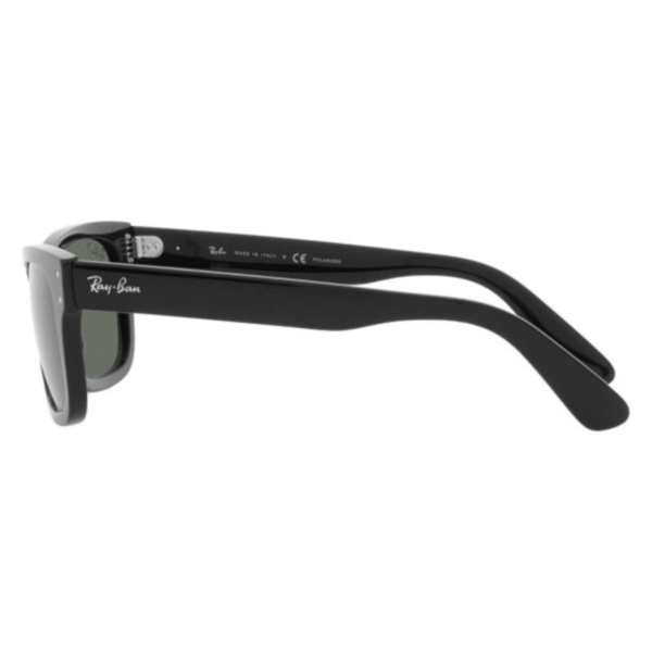 Ray Ban Burbank Sunglasses - Image 3