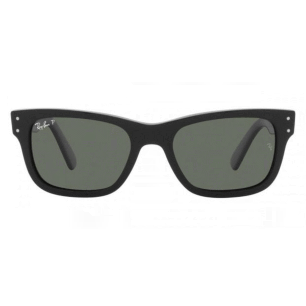 Ray Ban Burbank Sunglasses