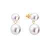Nishi Pearls Drop Studs - White Freshwater Pearl, 14kt Yellow Gold