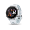 Garmin Forerunner 170 - Whitestone with Whitestone/Cloud Blue Band