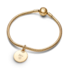 Pandora Engravable Round Tag Dangle Charm